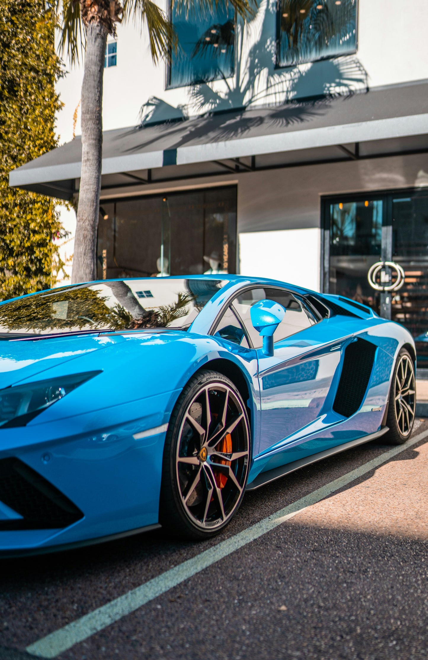Custom Search for Cars